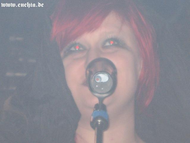 Lame Immotrelle vom 20.02.2008-019.jpg